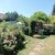 Jardin 1